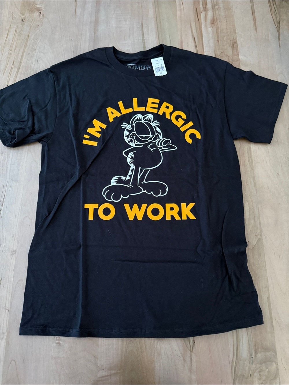Hybrid Apparel Black Graphic Garfield Logo Tee
